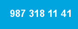 987 318 11 41